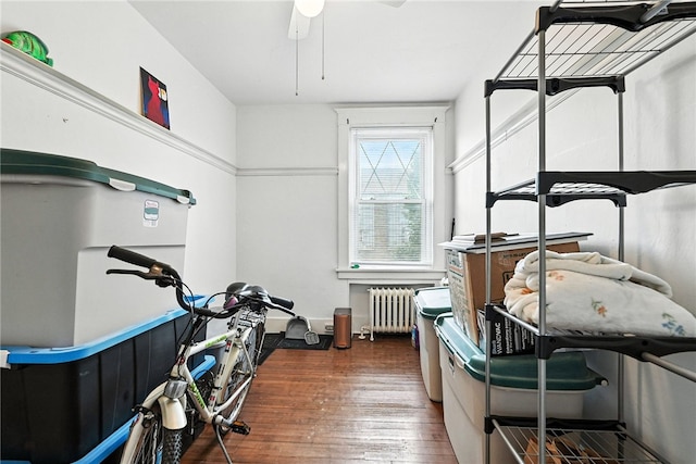 3100 Wainbell Ave, Dormont, PA 15216 - exercise room with radiator, hardwood / wood-style floors, and ceiling fan