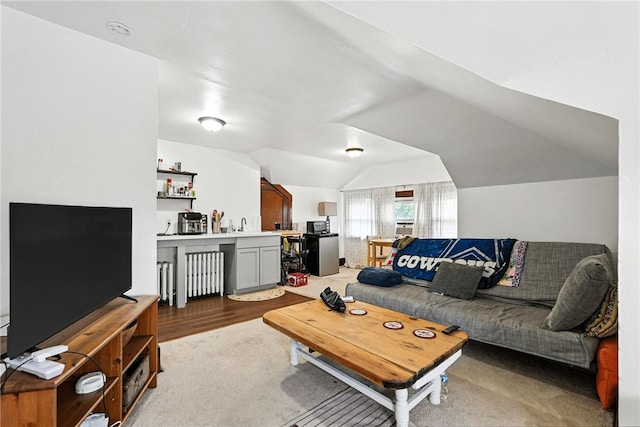 3100 Wainbell Ave, Dormont, PA 15216 - living room featuring lofted ceiling, radiator, wood finished floors, and bar area