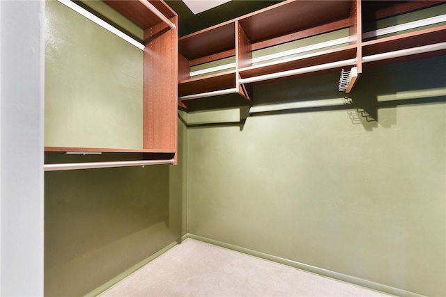 3931 Boulevard Dr, Squirrel Hill, PA 15217 - spacious closet with carpet