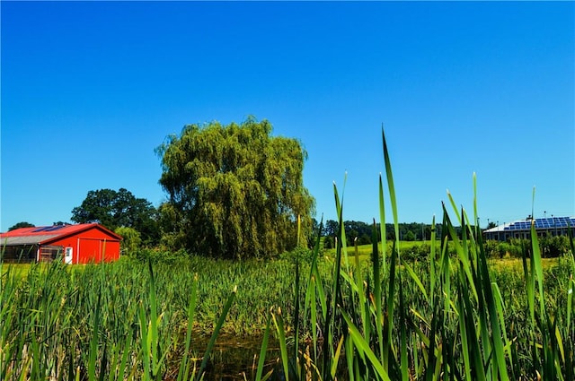405 Hogg Rd, Worthington, PA 16262 - view of nature