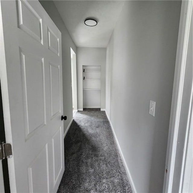 1914 Arlington Ave, Arlington, PA 15210 - corridor featuring dark colored carpet and baseboards