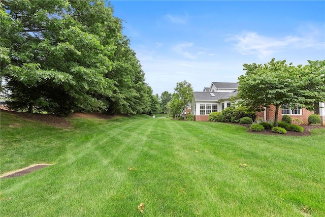 202 Providence Ct, Adams Twp, PA 16059 - view of green lawn