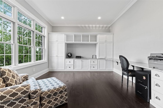 197 Wellington, Peters Twp, PA 15317 - office space with dark wood-style floors, ornamental molding, and recessed lighting