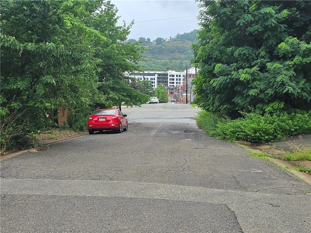 5303 Wickliff St, Lawrenceville, PA 15201 - view of asphalt road