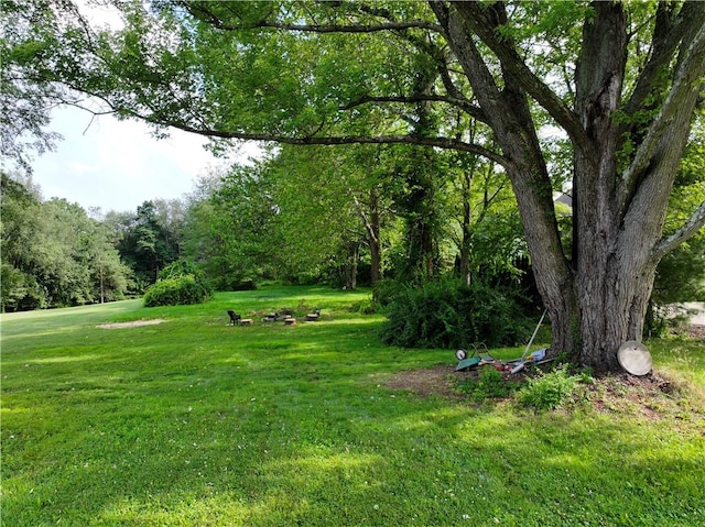 3715 Tuscarawas Rd, Brighton Twp, PA 15009 - view of green lawn