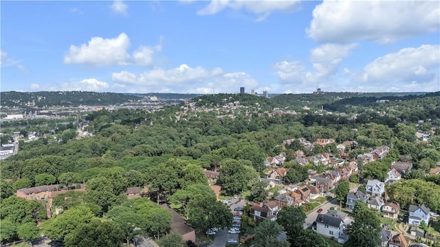 3616 Allendale Cir, Sheraden, PA 15204 - aerial view of a forest