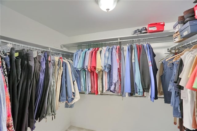 329 Oak Grove Ct, Mccandless, PA 15090 - view of spacious closet