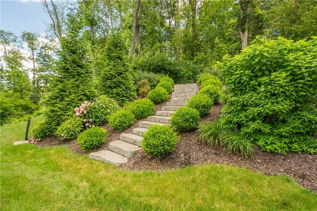 152 Cole Dr, Robinson Twp, PA 15136 - view of green lawn with stairs