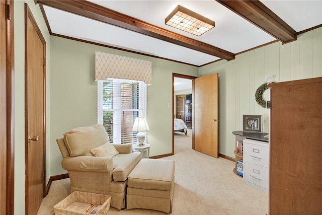 566 Ridgeview Rd, East Huntingdon, PA 15666 - living area featuring beamed ceiling, light colored carpet, and ornamental molding