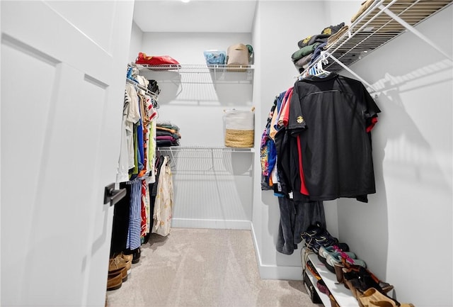 124 Rivulet Pl, Jackson Twp, PA 16063 - spacious closet featuring carpet floors