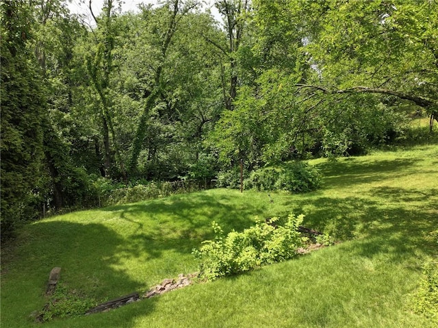 4800 W Brierly Dr, West Mifflin, PA 15122 - view of grassy yard featuring a view of trees