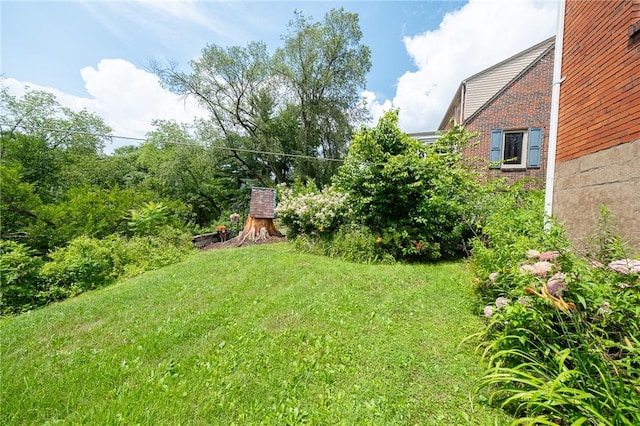 4800 W Brierly Dr, West Mifflin, PA 15122 - view of green lawn