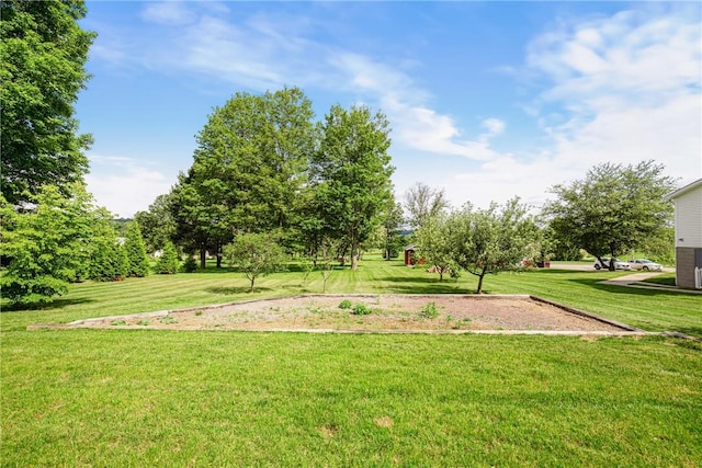 1837 Stoystown, Somerset Twp, PA 15541 - view of grassy yard