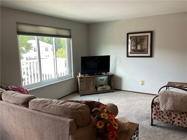 905 Camelot Dr, Mccandless, PA 15237 - photo 11