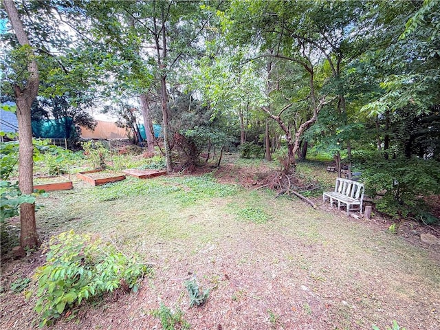 808 Thompson Run Rd, Springdale Twp, PA 15049 - view of yard featuring a vegetable garden
