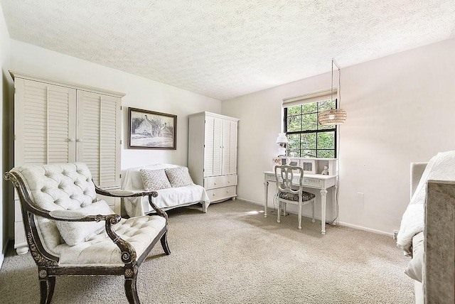 1115 Valleyview Dr, Cecil, PA 15055 - sitting room featuring carpet flooring and a textured ceiling