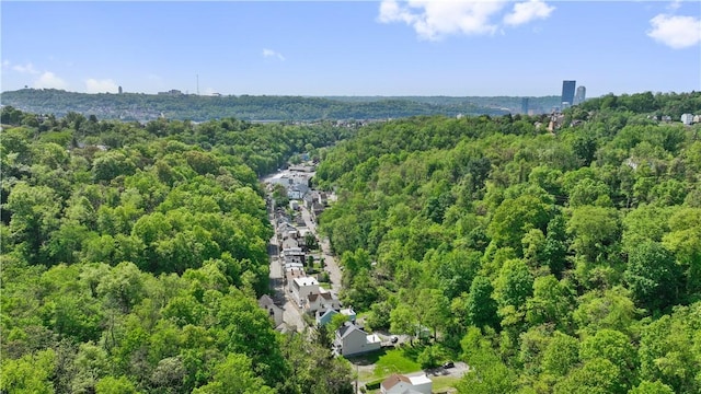 2617-2619 Spring Garden Ave, Spring Garden, PA 15212 - aerial view of a heavily wooded area
