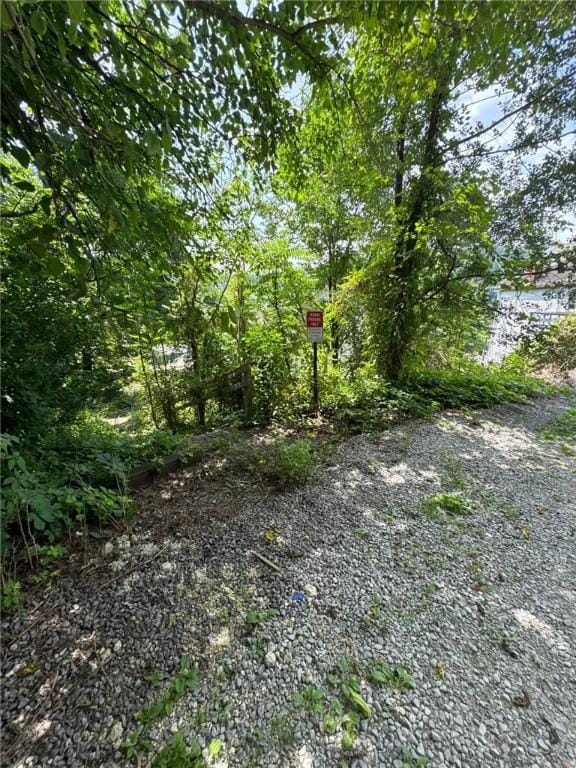 5015 Walnut St, Versailles Boro, PA 15132 - view of undeveloped land