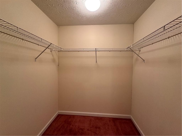 1009 Ironwood Cir, Jeannette, PA 15644 - walk in closet featuring carpet flooring