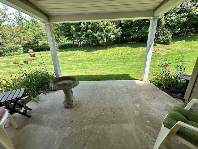 1009 Ironwood Cir, Jeannette, PA 15644 - view of patio / terrace with view of scattered trees