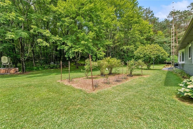 282 Oak Hll Rd, South Bend Twp, PA 15774 - photo 9