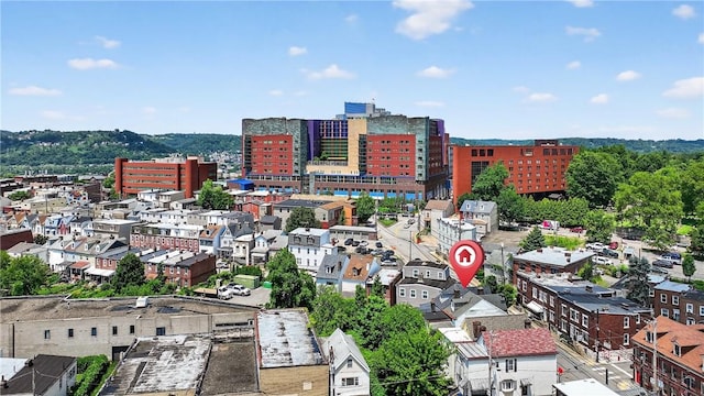 4536 Friendship Ave, Bloomfield, PA 15224 - view of city