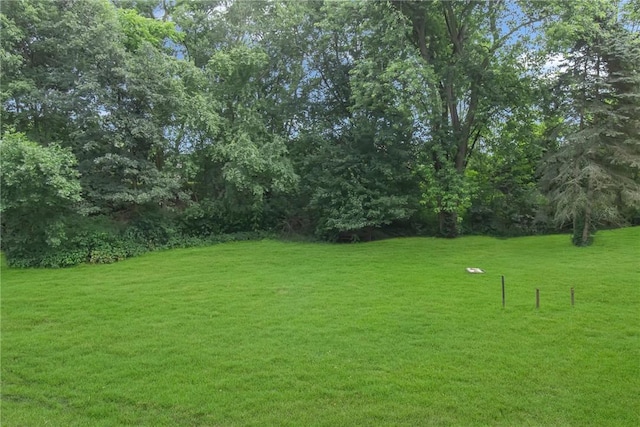 231 W Shaffer Rd, Center Twp, PA 15001 - view of grassy yard