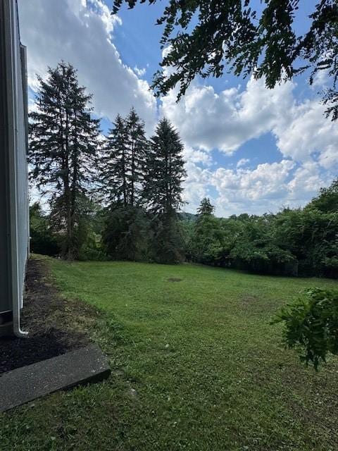 1713 Belasco Ave, Beechview, PA 15216 - view of green lawn