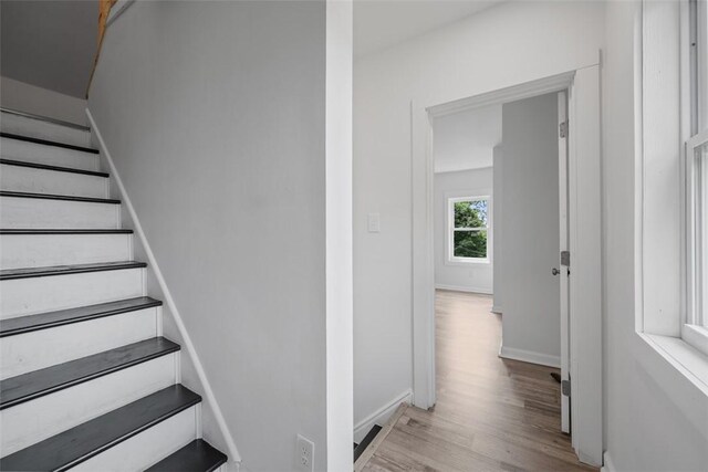 1713 Belasco Ave, Beechview, PA 15216 - photo 17
