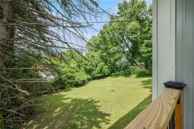 1713 Belasco Ave, Beechview, PA 15216 - photo 31