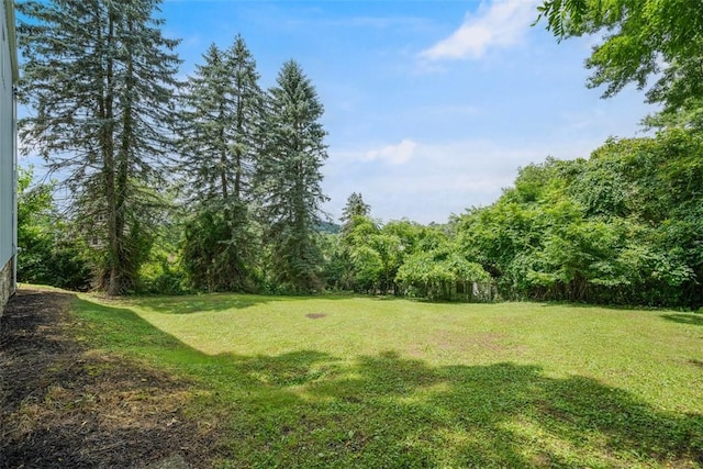 1713 Belasco Ave, Beechview, PA 15216 - photo 32