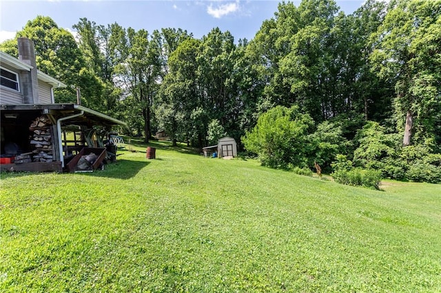 132 Spaugy Hollow Rd, Bullskin Twp, PA 15425 - view of grassy yard with a storage shed