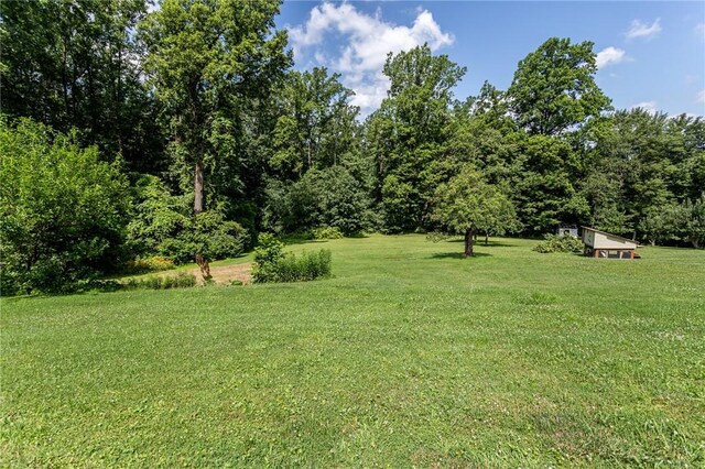 132 Spaugy Hollow Rd, Bullskin Twp, PA 15425 - view of grassy yard