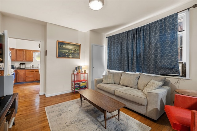 316 Kaercher St, Greenfield, PA 15207 - living room with light wood finished floors and plenty of natural light