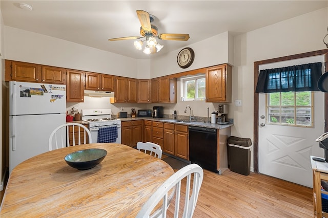 316 Kaercher St, Greenfield, PA 15207 - kitchen featuring white appliances, under cabinet range hood, ceiling fan, light wood finished floors, and brown cabinetry