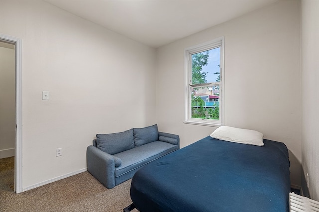 316 Kaercher St, Greenfield, PA 15207 - carpeted bedroom with baseboards