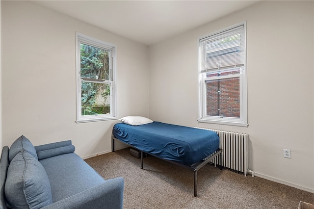 316 Kaercher St, Greenfield, PA 15207 - bedroom with radiator and carpet flooring