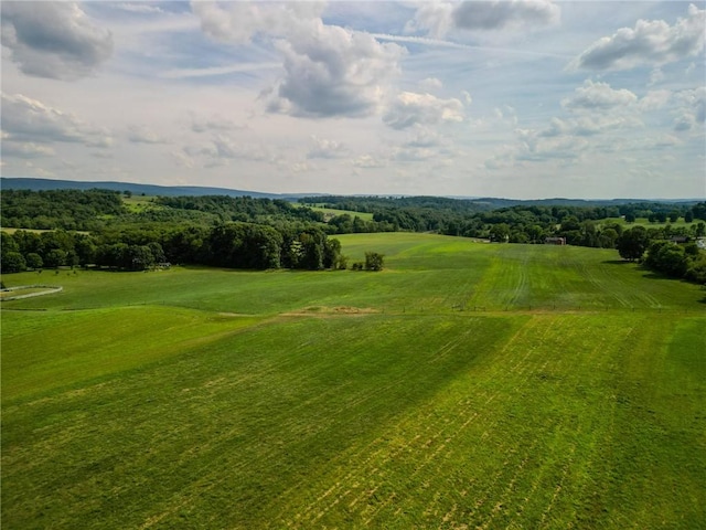 440 Owl Hollow Rd, Ligonier Twp, PA 15658 - photo 35