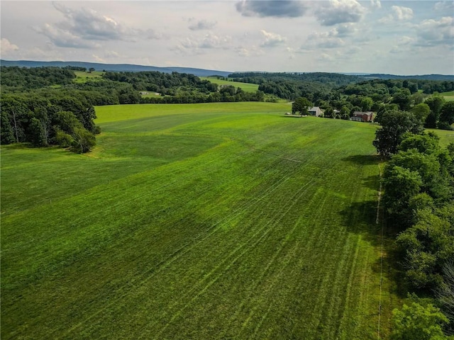 440 Owl Hollow Rd, Ligonier Twp, PA 15658 - photo 36