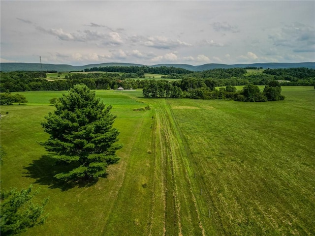 440 Owl Hollow Rd, Ligonier Twp, PA 15658 - photo 38