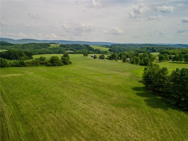 440 Owl Hollow Rd, Ligonier Twp, PA 15658 - photo 39
