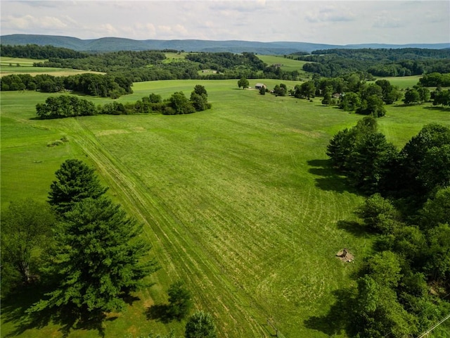 440 Owl Hollow Rd, Ligonier Twp, PA 15658 - photo 40