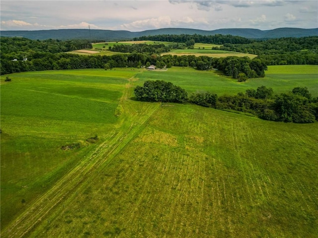 440 Owl Hollow Rd, Ligonier Twp, PA 15658 - photo 43