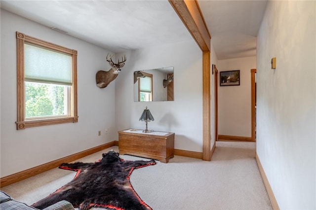 440 Owl Hollow Rd, Ligonier Twp, PA 15658 - photo 28