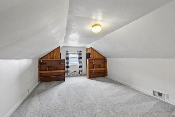 110 5th Ave, Ross Twp, PA 15229 - additional living space featuring light carpet and vaulted ceiling