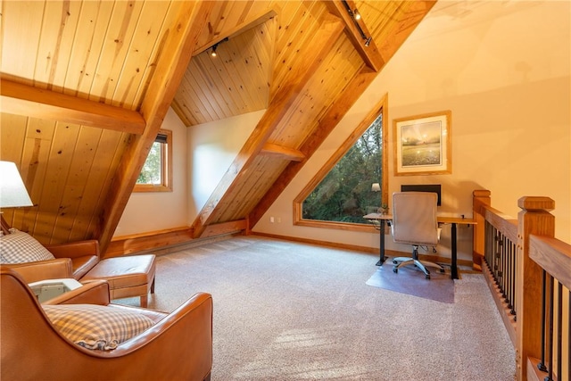 2780 Ipnar Rd, North Huntingdon, PA 15642 - living area with track lighting, carpet, wooden ceiling, and lofted ceiling