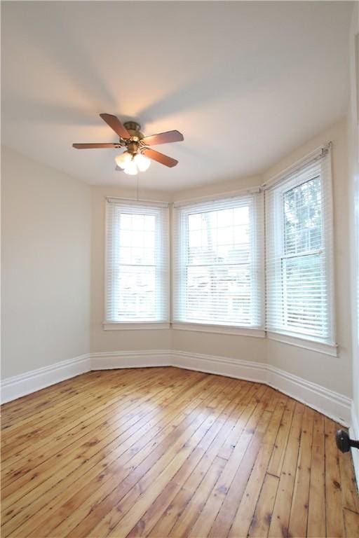 436 Forest Ave, Bellevue, PA 15202 - photo 20