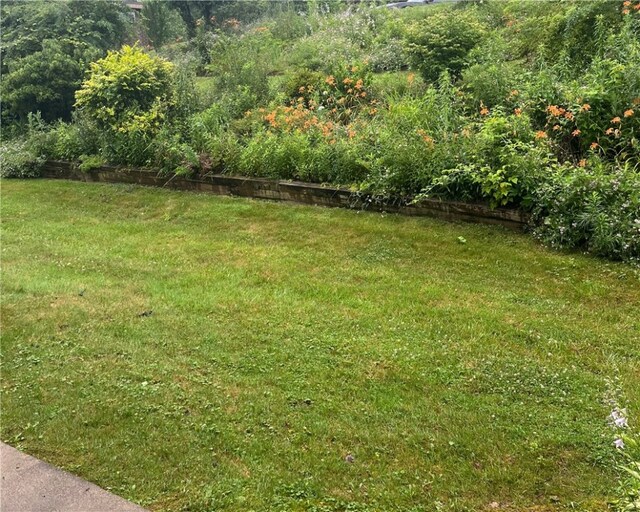 120 Rivermont Ct, Harmar, PA 15024 - view of grassy yard