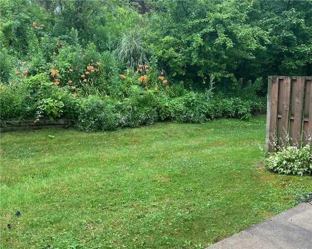 120 Rivermont Ct, Harmar, PA 15024 - view of yard