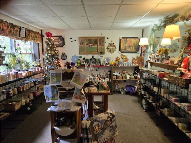 2879 Winslow Hill Rd, Benezette, PA 15821 - miscellaneous room featuring a paneled ceiling and carpet flooring